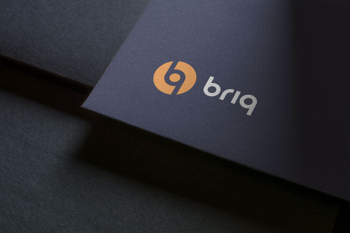 nieuw logo briq